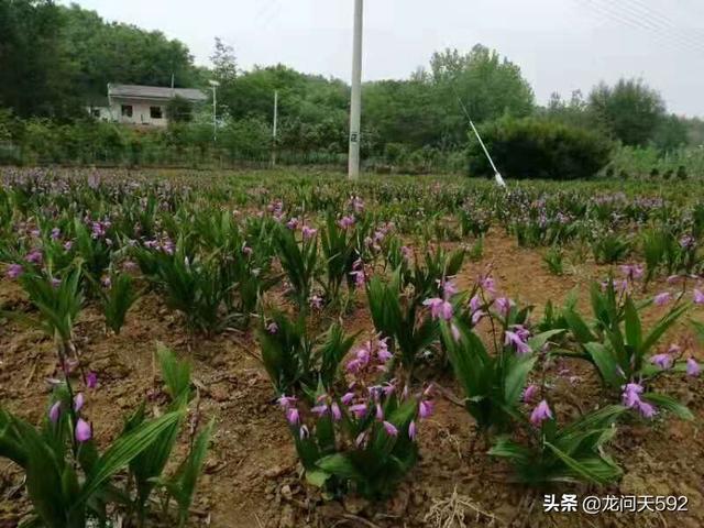 果园农场app开发