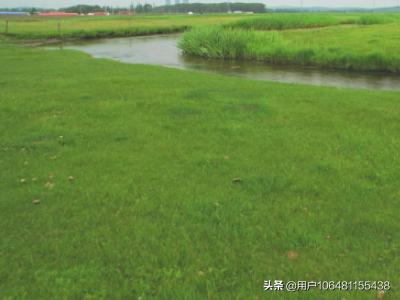 张家口必去景点攻略大全(图3)