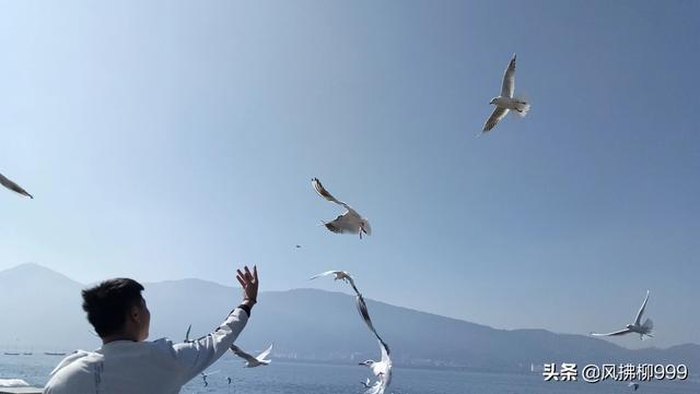 11月必去的云南景点(图17)