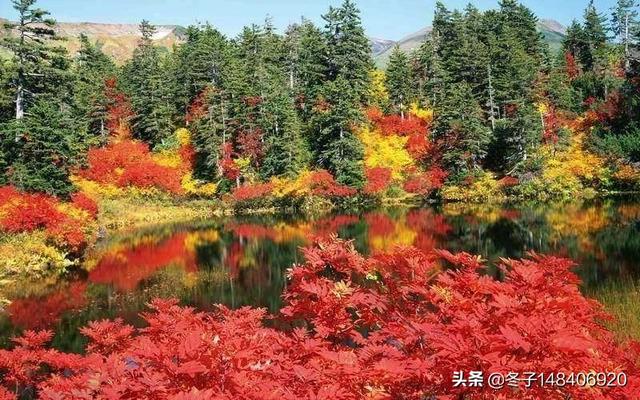 宝鸡秋天旅游景点大全， 宝鸡秋天旅游景点大全图片