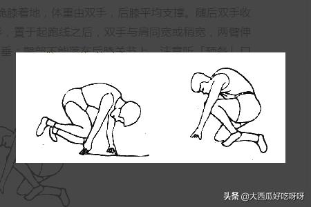 田径比赛起跑步骤介绍？