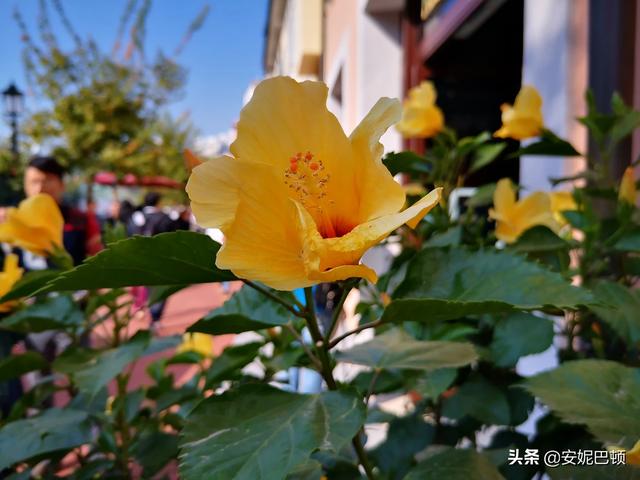 秋天选择哪个城市旅游最好