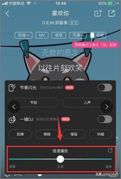 如何加快或减缓歌曲的节奏？
