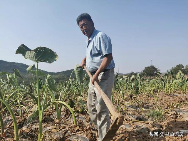 农村白手起家的项目电视剧 一个农村刚毕业的大学生在城市要怎么白手起家？