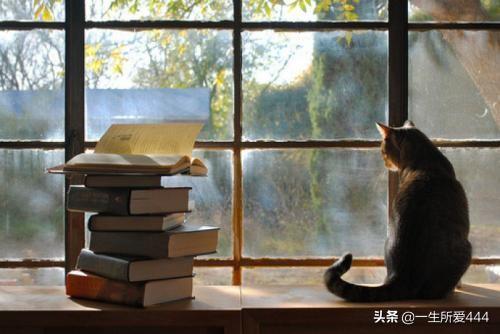 读万卷书（读万卷书 行万里路）