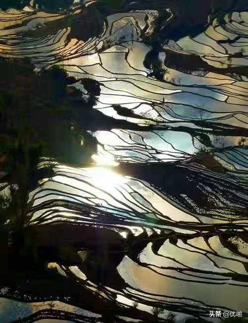 旅游图片怎么制作 多少钱一张