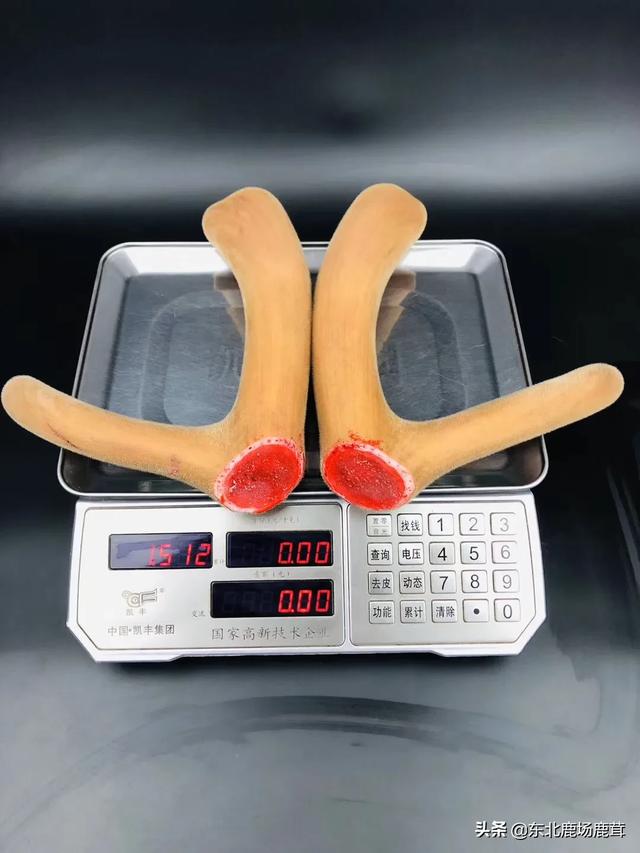 第一次做鸡肉，做完之后发现忘记用水焯啦，请问这鸡肉能吃吗?(买的鸡肉)？：医学生炖鸡