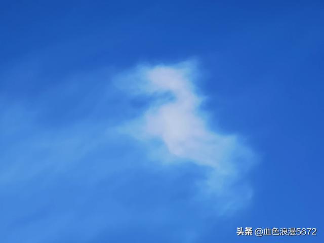 固定资产分类明细表，固定资产类别表