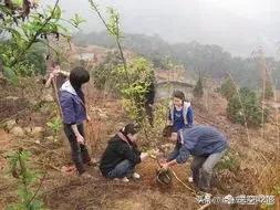 一年四季什么时候除草-一年四季什么时候除草最好