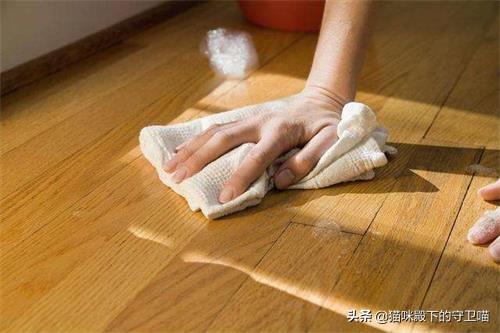 狗身上有癣怎么办用什么药好(图2)