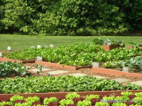 水果种植花园设计图纸,水果种植花园设计图纸大全