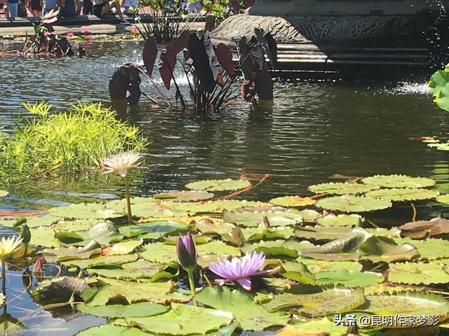 五十岁的男人喜欢什么样的女人(图6)