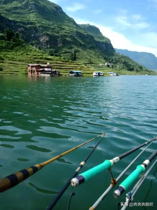 热带鱼要怎么吃才好吃(图17)