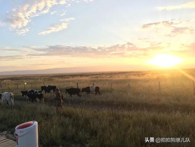 新疆北疆旅游景点大全， 