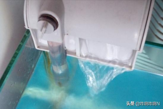 如何自己更换鱼缸抽水泵的过滤网,第7张