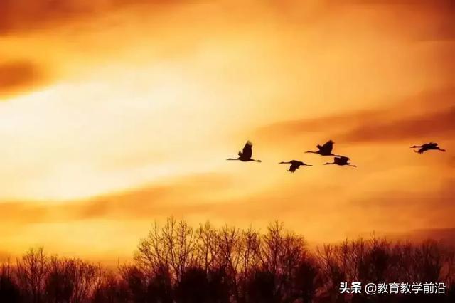 野望原文及翻译_野望原文及翻译王绩