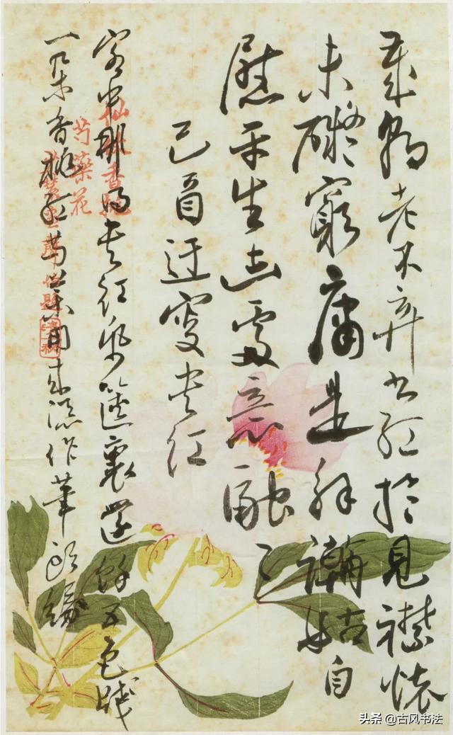 生活字体草书