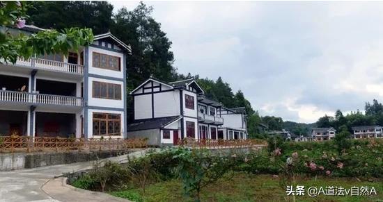 农村如何发展(农村如何发展乡村旅游)