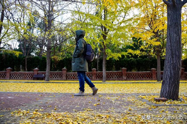 锦州旅游攻略省钱路线， 锦州旅游攻略省钱路线图