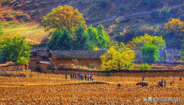 迪庆藏族自治州香格里拉市纸飞机账号购买