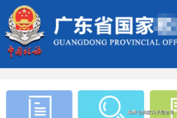 广东省地方税务局发票在线，广东省地方税务局发票在线应用系统