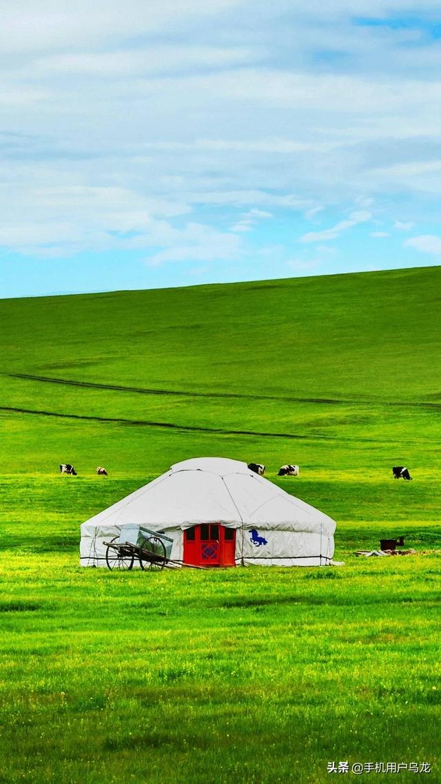 夏天洗冷水澡好吗蚂蚁庄园？大象用鼻子吸水喷在身上是为什么？