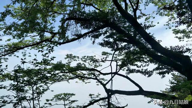 宜昌旅游必去景点免费的(图5)