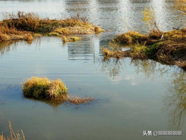 城市湖泊水质怎么改善(图4)
