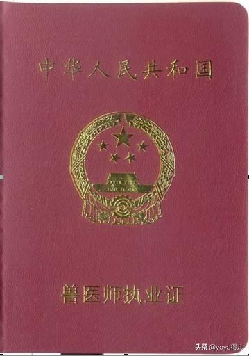 兽医咨询网站有哪些 怎样考取兽医资格证？