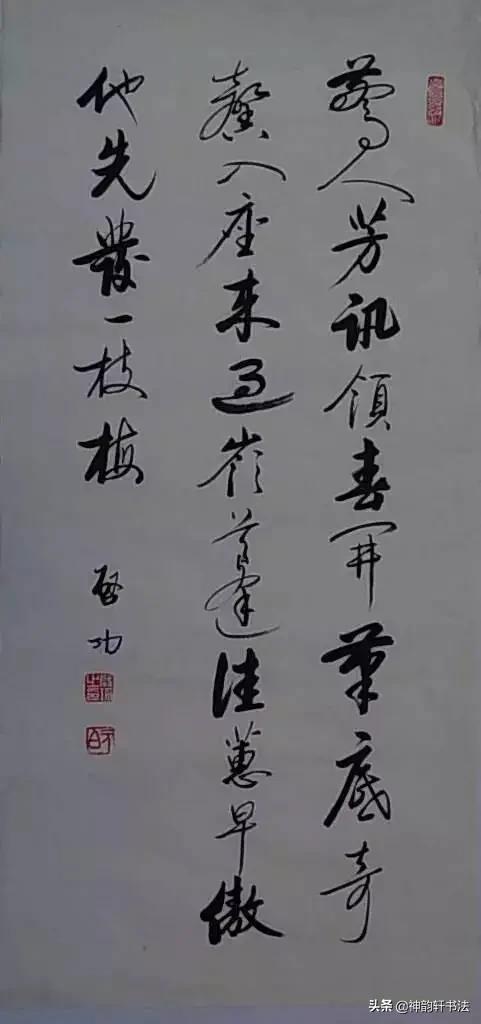 觀心的草书字体