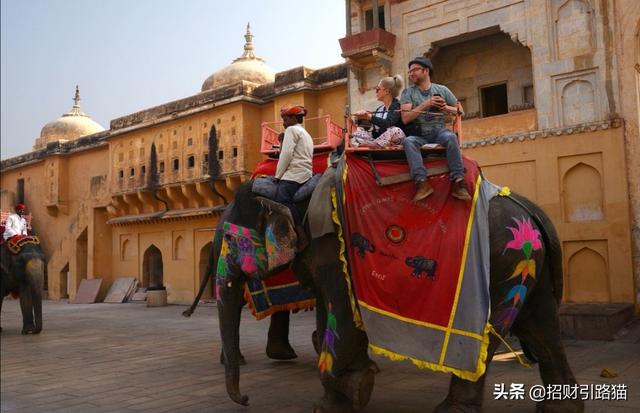 印度小哥海外生活视频，印度小哥海外生活视频大全