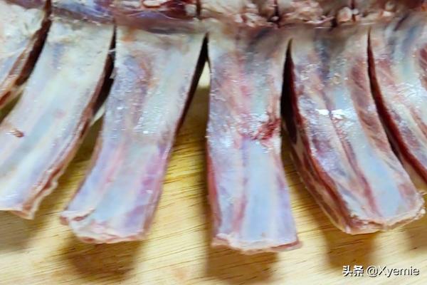 羊排怎么做好吃_羊排怎么做好吃又烂没腥味
