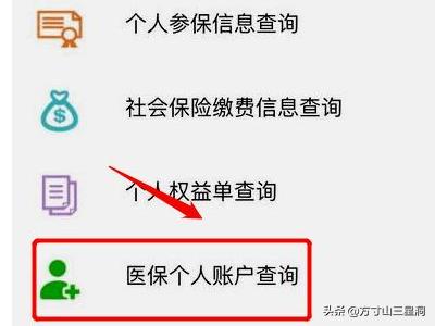 个人医疗保险查询个人账户，个人医疗保险查询个人账户缴费明细查询