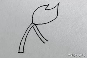 景观设计花草的画法