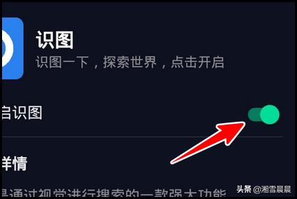 抖音国际版识图