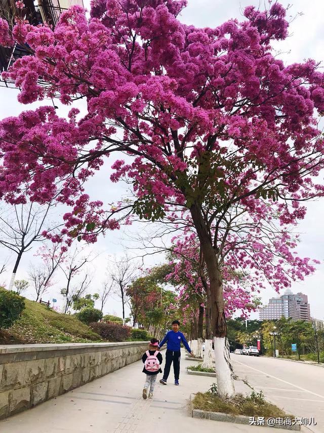 中学生海外生活有什么好处，中学生海外生活有什么好处吗