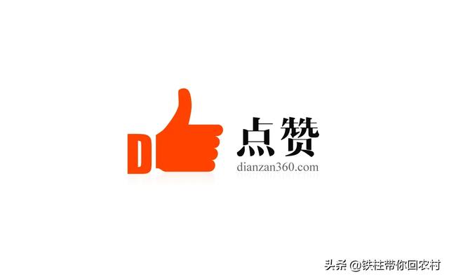 恐怖玩具店（大家看过哪些看了一遍就不想看第二遍的恐怖电影？）