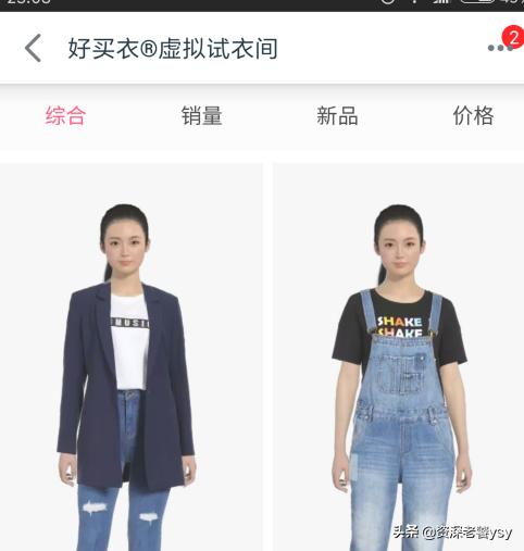虚拟试衣虚拟试衣间项目计划书
