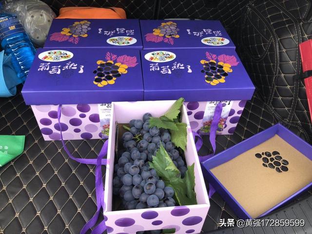 夏黑葡萄种植技术视频?!