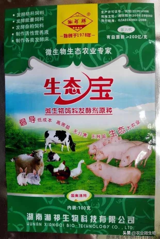 猪粪怎么变成饲料-猪粪怎么变成饲料的