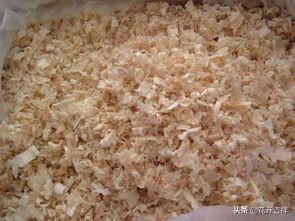 虎皮鹦鹉的繁殖箱里铺什么,第2张