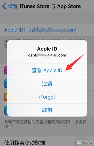 使命召唤6汉化 使命召唤6汉化教程-第6张图片-春华游戏网