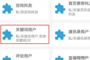 抖音国际版引流英语