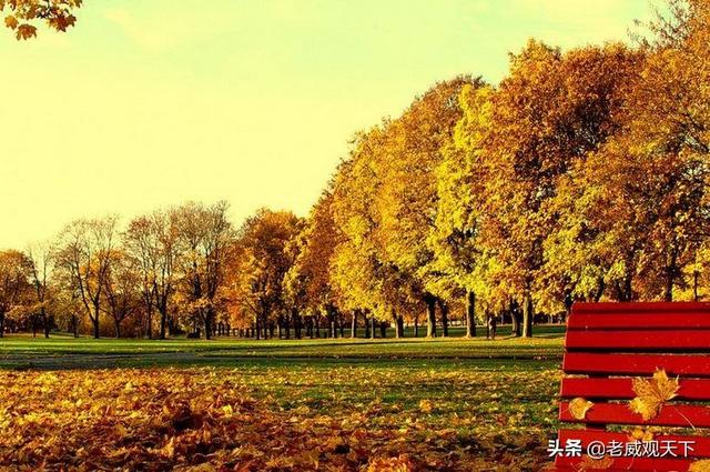我为什么要做一个保险人呢人为什么需要保险呢？