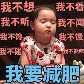 如何做到既不饿肚子，又可以成功减肥