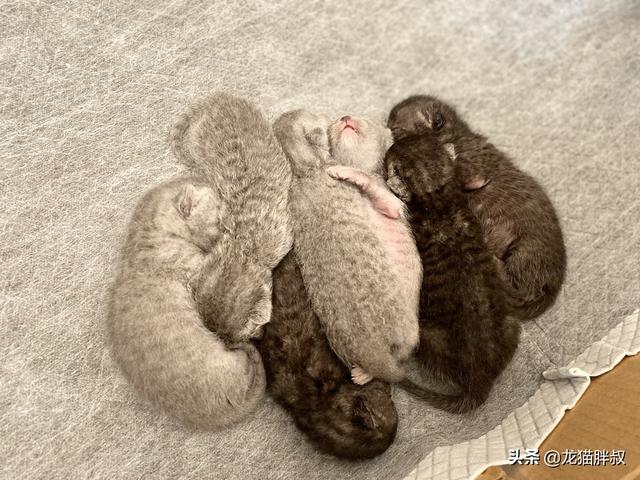 如何成为一位作者