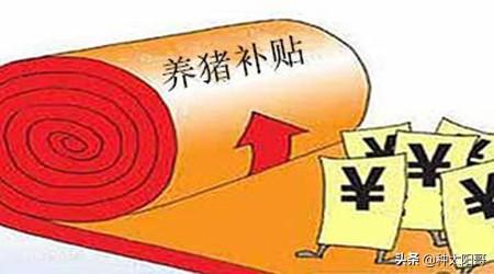 朝阳市猪价格今日猪价-朝阳县今日猪价