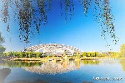 乐陵海外生活，乐陵海外生活物流电话