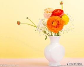 y液香水系统（ky是什么意思？）