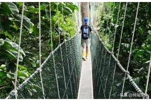 世界最长的桥（世界最长的桥是哪一座桥）